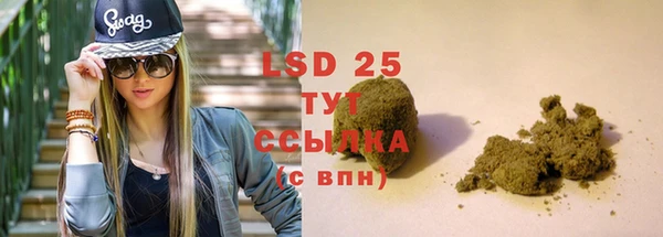 PSILOCYBIN Алексеевка