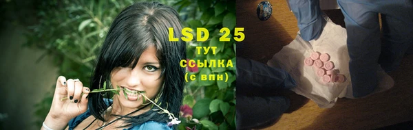 PSILOCYBIN Алексеевка