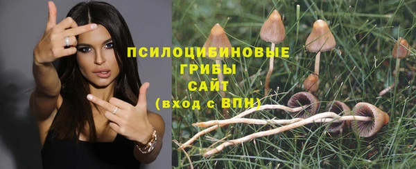ALPHA PVP Алексин