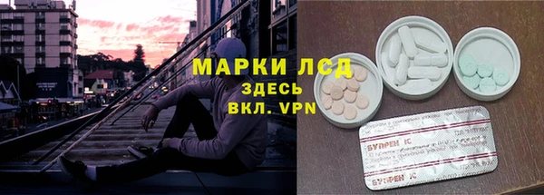 PSILOCYBIN Алексеевка