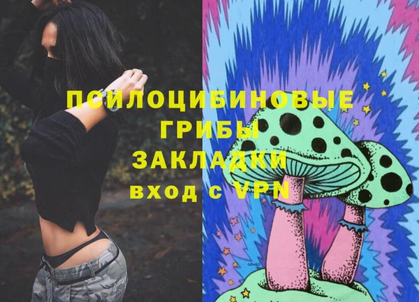 a pvp Осинники