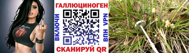 как найти   Крымск  нарко площадка Telegram  Галлюциногенные грибы прущие грибы 